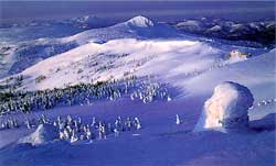 �������̎��X