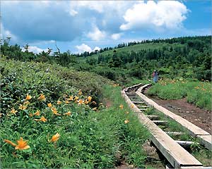 岩手の四季 「黒谷地湿原」