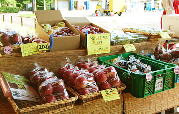 山口騰果樹園出店の様子