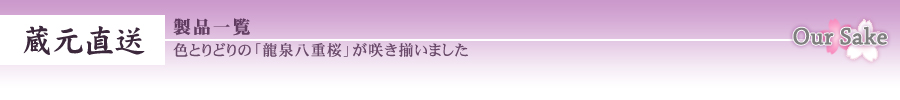 蔵元直送　製品一覧　色とりどりの「龍泉八重桜」が咲き揃いました