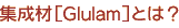 WށmGlulamnƂ́H