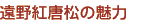 g̖